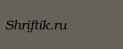 ER Bukinist KOI8-R Italic 